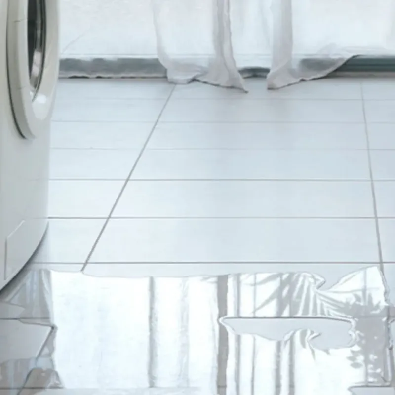 Appliance Leak Cleanup in Bradley, IL