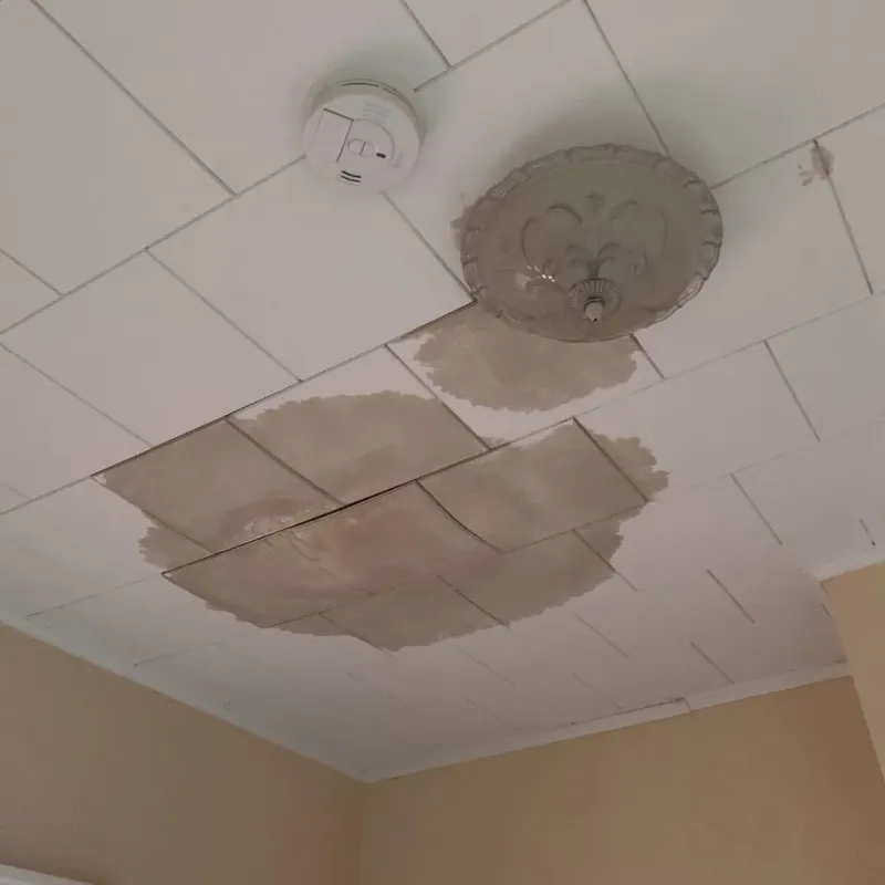 Ceiling Water Damage Repair in Bradley, IL