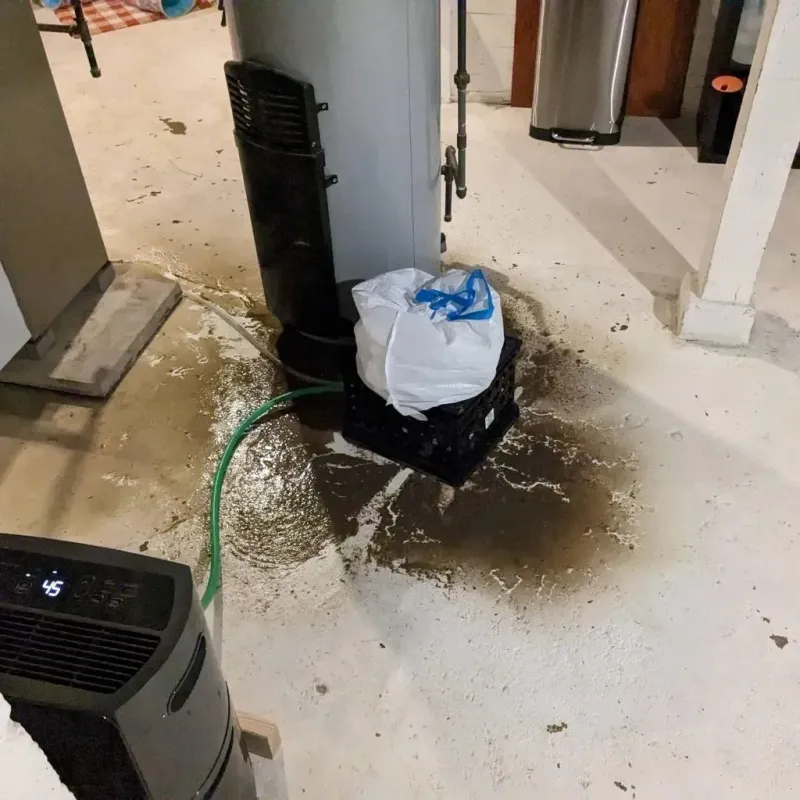 Sewage Backup Cleanup Service in Bradley, IL